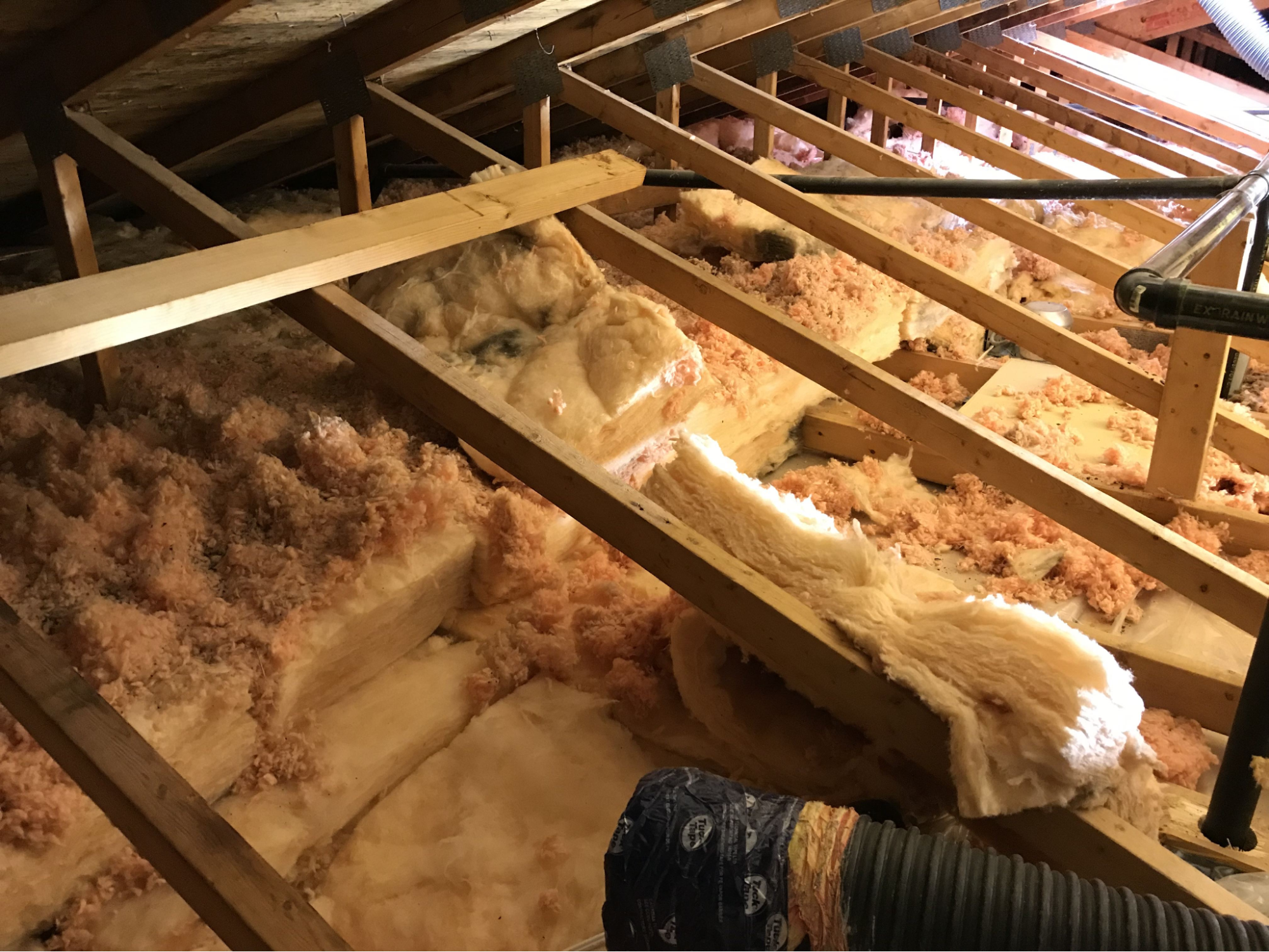 How Insulation Removal Helps Indoor Air Quality